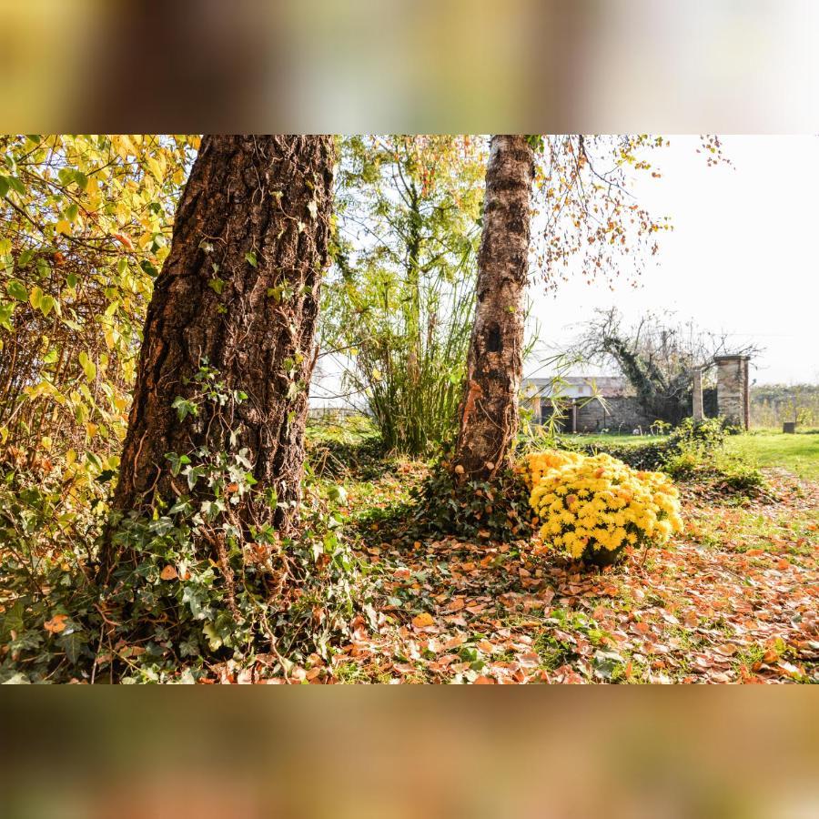 Agriturismo Magnarosa Villa Barge Dış mekan fotoğraf